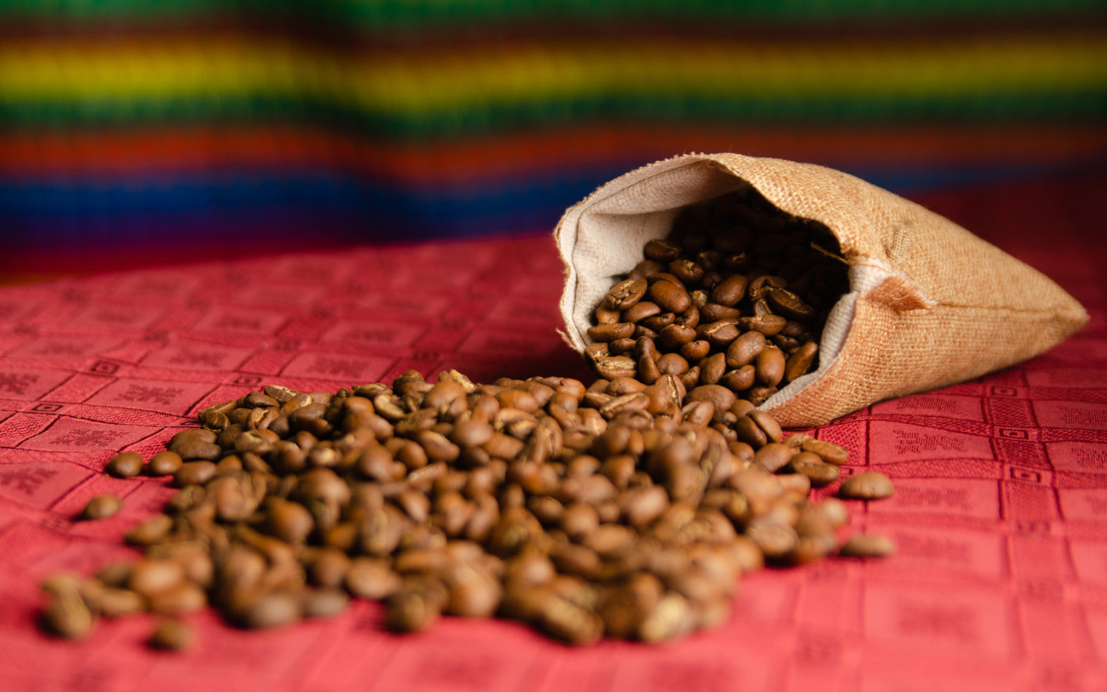 Die Vielfalt des brasilianischen Kaffeeanbaus.