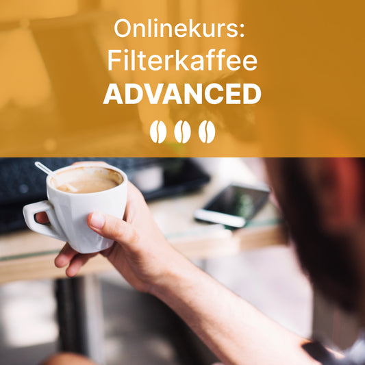 Filter Coffee Advanced – In-depth online course for advanced students (including coffee course)