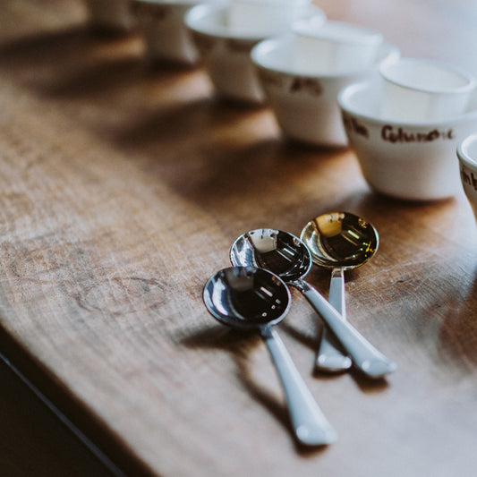 Brewista - Professional Cupping Spoon - Black
