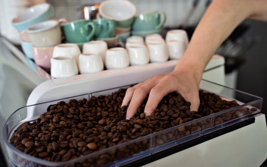 Aufbereitungsmethoden im Kaffee – zwischen Tradition und Experiment