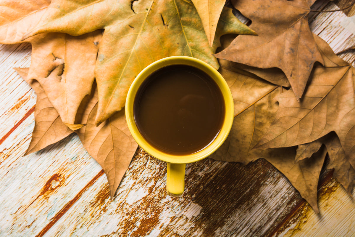 Herbstkaffee: Welche Bohnen passen zu kalten Tagen?
