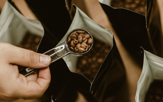 Kaffee Probierpaket: Finde deinen Lieblingskaffee