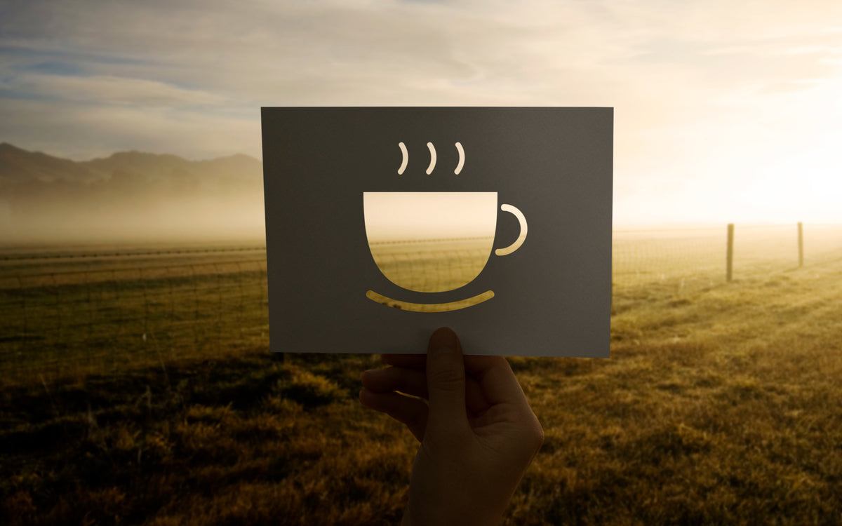 Die Auswirkungen des Klimawandels auf den Kaffeeanbau