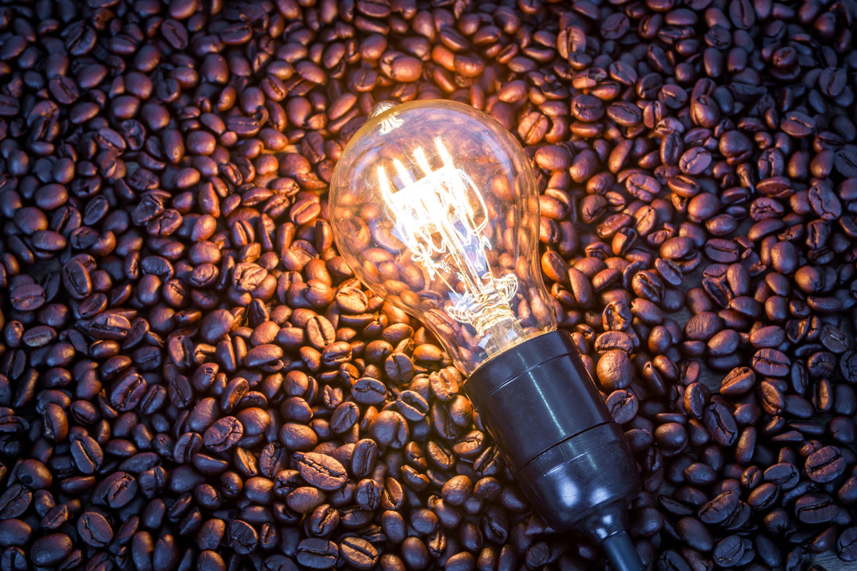 Die Zukunft des Kaffeeanbaus: Neue Trends und Technologien