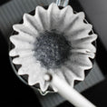 Load image into Gallery viewer, GRAYCANO Coin
