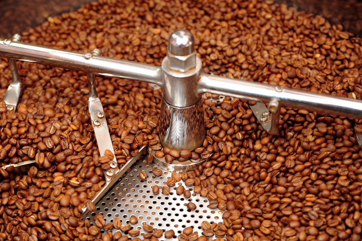 Frisch gerösteter Kaffee im Kühlsieb